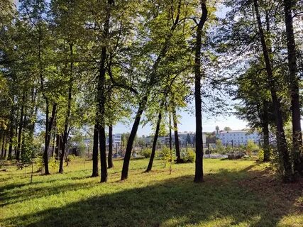 Зеленодольск зеленый