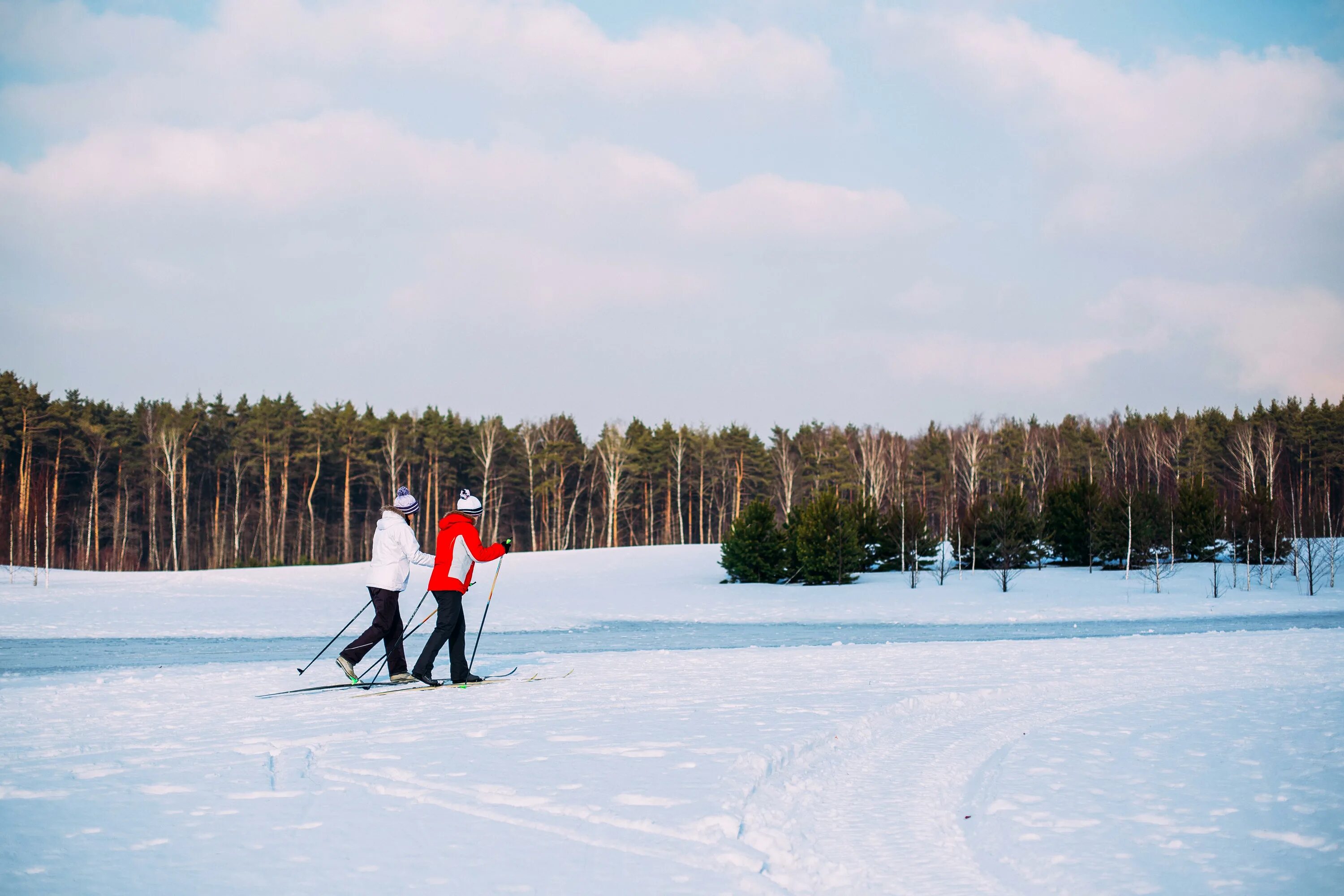 Мещерский парк Лыжня. Мещерский парк лыжная трасса. Мещерский парк лыжи. Мещерский парк лыжные трассы.