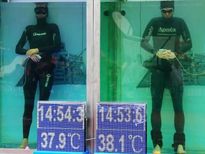 Рекорд по задержке дыхания. Рекорд Гиннесса по задержке дыхания. Рекорд задержки дыхания под водой. Мировой рекорд без воды
