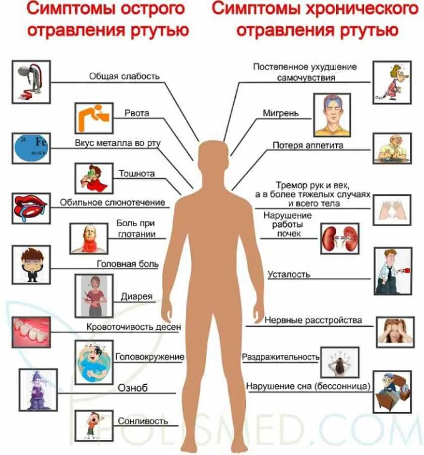 Информация о признаках организма. Симптомы хронического отравления парами ртути. Стмптгмыотраыления ртутью. Признаки отравления ртутью. Симптомы от ртути.