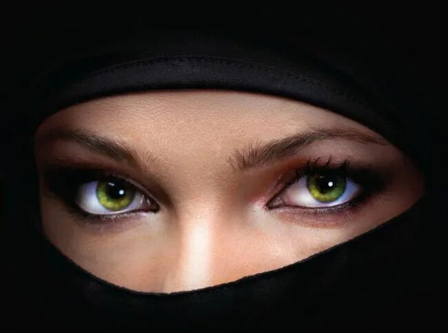 Coffeenuts Blue eyes, Cool eyes, Perfect eyes