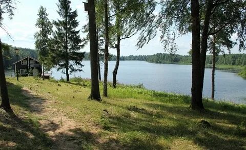 Аленушка новгородская область