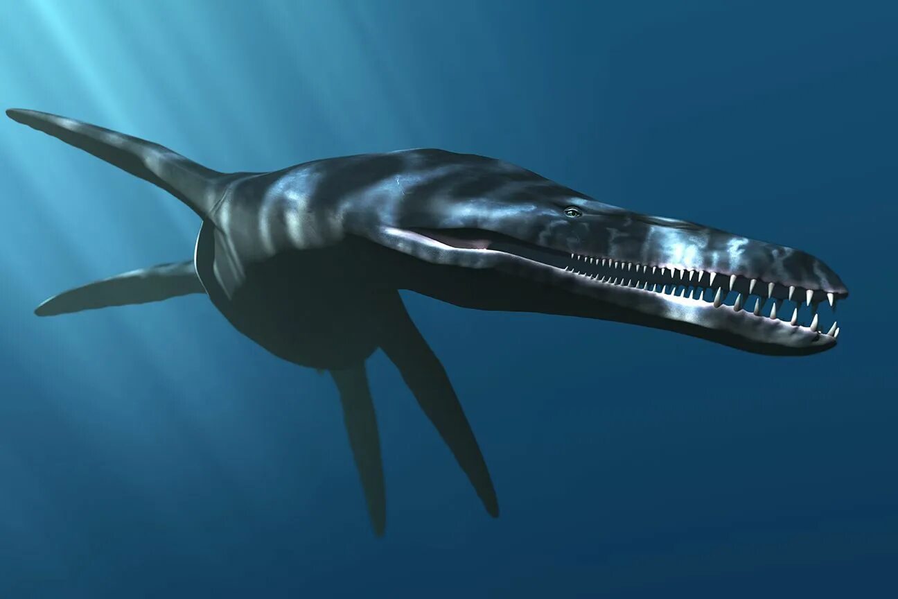 Pliosaurus macromerus. Плиозавр и Лиоплевродон. Плиозавр Функе. Русский Плиозавр. Палеозавр