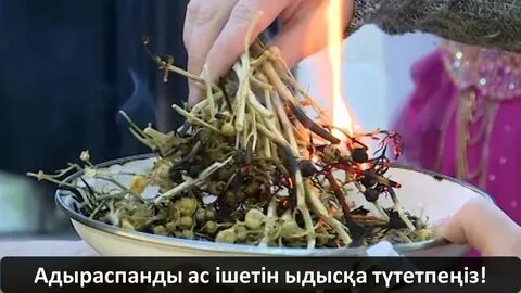 Жечь корень