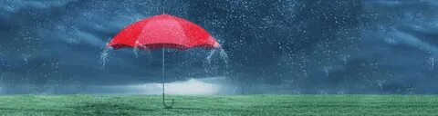 Rain could