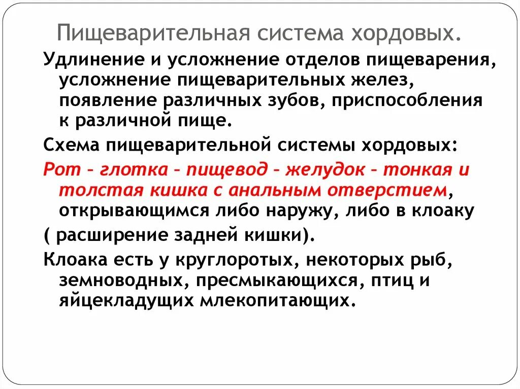 Направления эволюции пищеварительной. Эволюция пищеварительной системы хордовых. Пищеварительная система у хардовый. Эволюция пищеварительной системы животных. Пищеварительная система система хордовых.