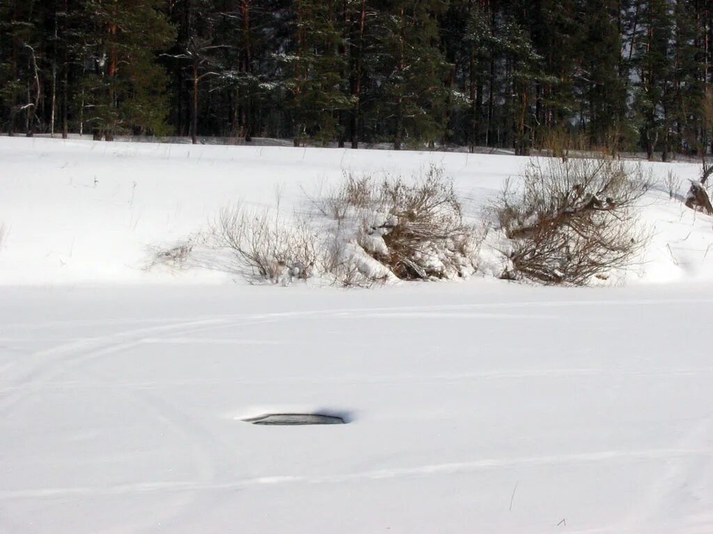 Полынья читать. Полынья читать