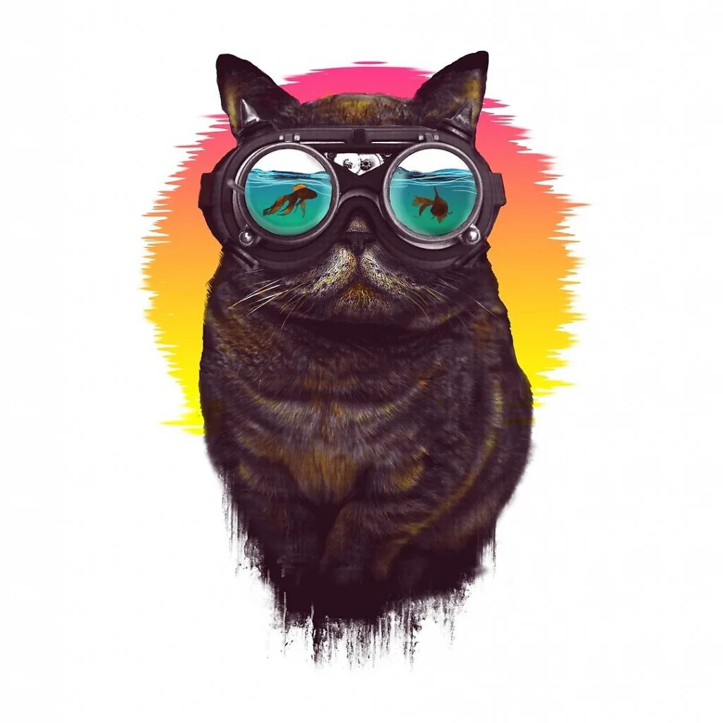 Cat styled. Cat styled