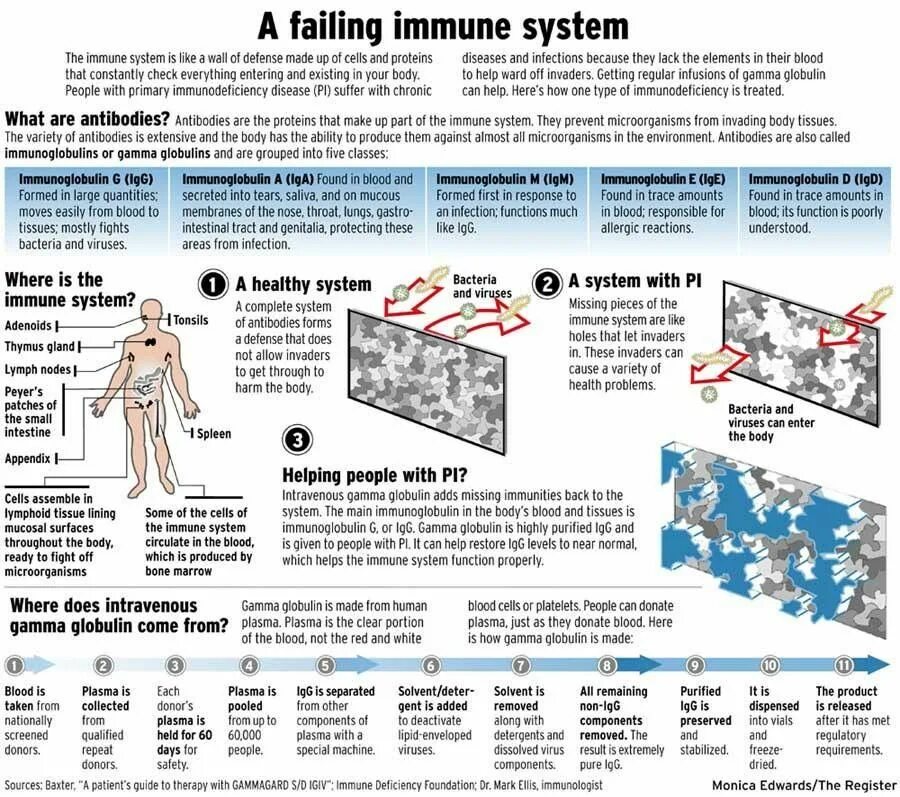 Immune deficiency. Immune System functions. Secretory Immunoglobulin a. Immune deficiency Laboratory. Complete virus
