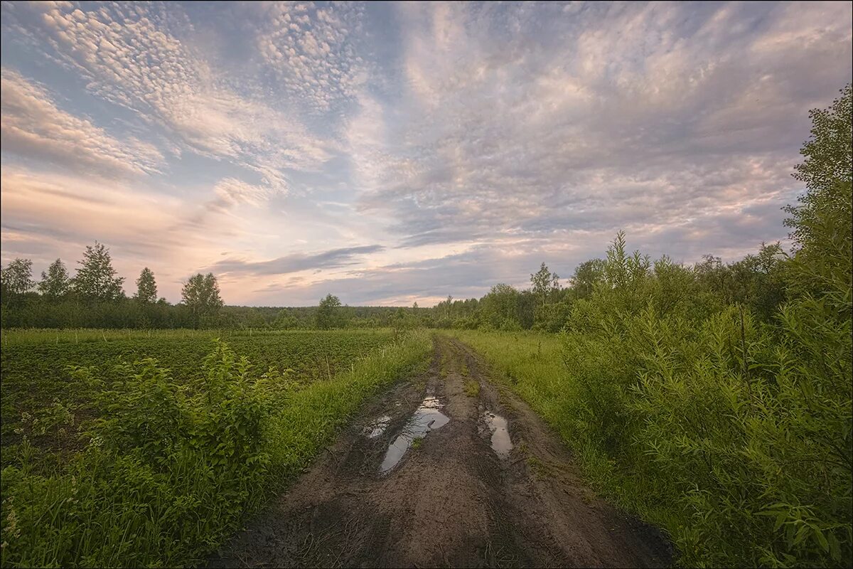 Эх дороги дороги. Родные просторы дорога. Эх дорога. Эх дороги фото.