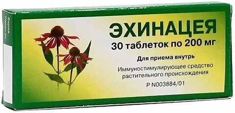 Эхинацея лекарство