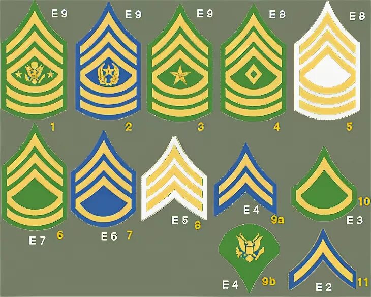 воинские звания вооруженных сил рф погоны. звания от рядового до генерала армии. погоны и звания сухопутных войск вс рф. погоны армии рф 2022. звания вмф россии с погонами.