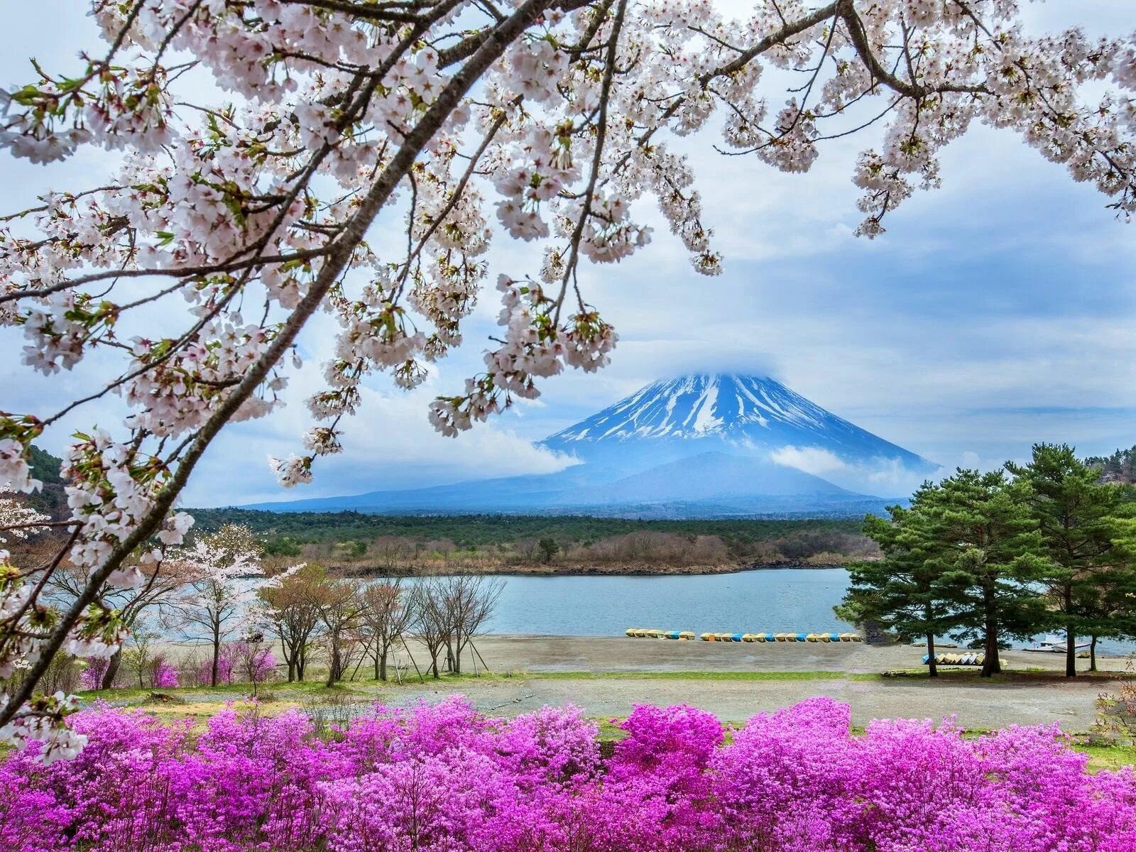 Spring views