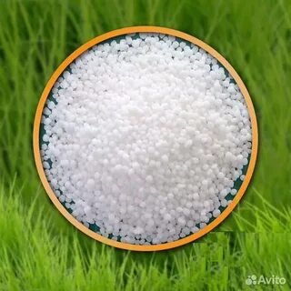 Аммиачная селитра для чеснока