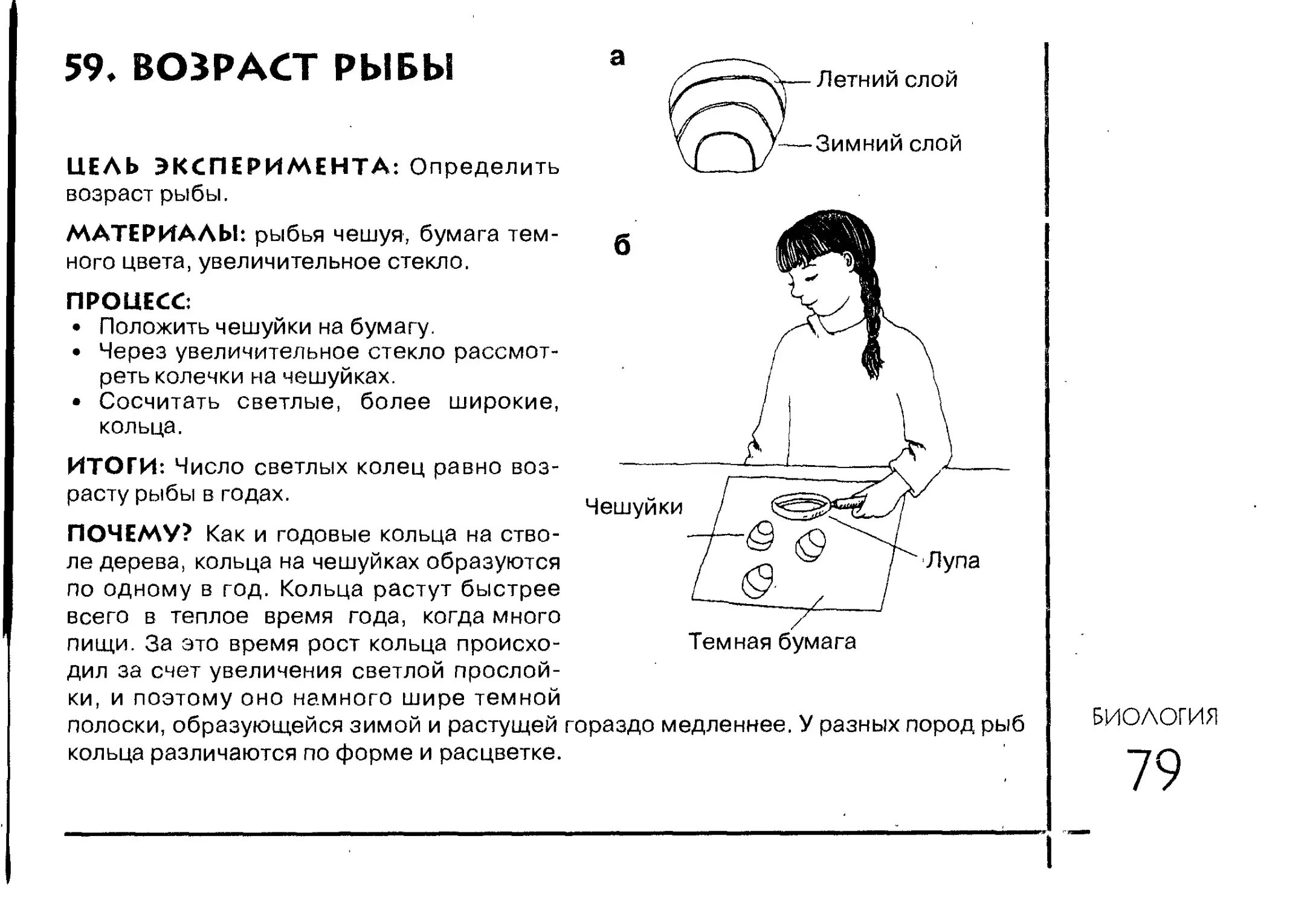 Определить возраст книги. Определение возраста рыб. Как определить Возраст рыбы по чешуе. Возраст рыбы как. Опыт на определение возраста рыбы.