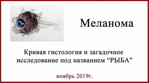 Ошибки гистологии