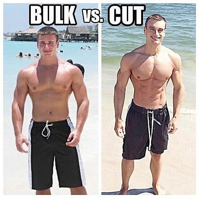 Bulk price. Bulk and cut. bulk фигура. bulk vs cut. cut bulking.