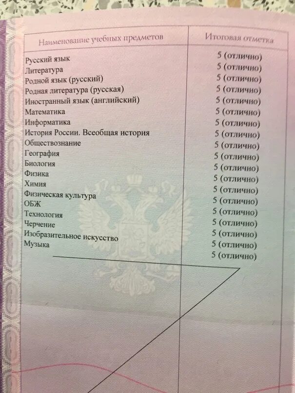 Какие предметы будут в аттестате 9. Аттестат за 9 класс. Отметки в аттестате за 9 класс. Аттестат за 9 класс оценки и предметы. Оценки в аттестате за 9.