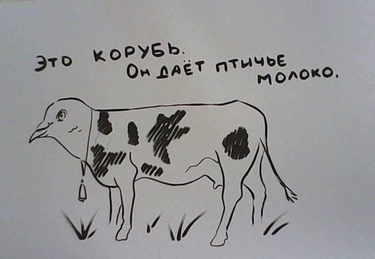 Птичье молоко. Птичье молоко мем. Птичье молоко шутка. Птичье молоко прикол. Птичье молоко прикол.