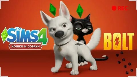 Включи где собака и кошка