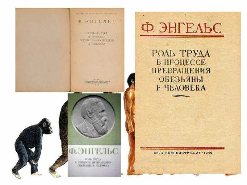 Роль труда в процессе превращения обезьяны в человека. Энгельс роль труда в процессе превращения обезьяны в человека. Книга роль труда в процессе превращения обезьяны в человека.