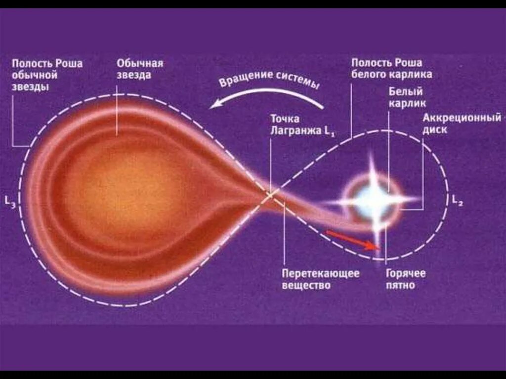 Аккреция вещества звезды полость Роша. Полость Роша двойные звезды. Полости Роша переменные двойные звезды. Рождение и Эволюция звезд. 1 этап звезда