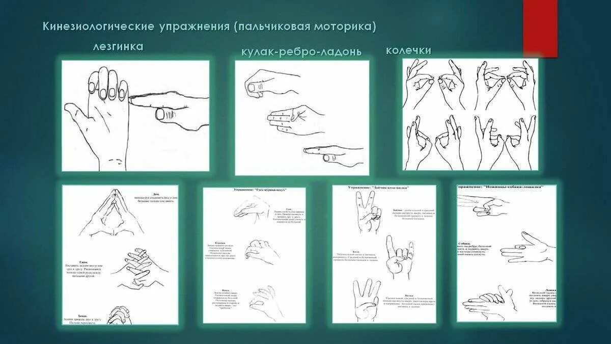 Кинезиологические пальчиковые упражнения для дошкольников. Пальчиковая нейрогимнастика для дошкольников. Нейропсихологические упражнения пальчиковые. Схемы кинезиологических упражнений для дошкольников.