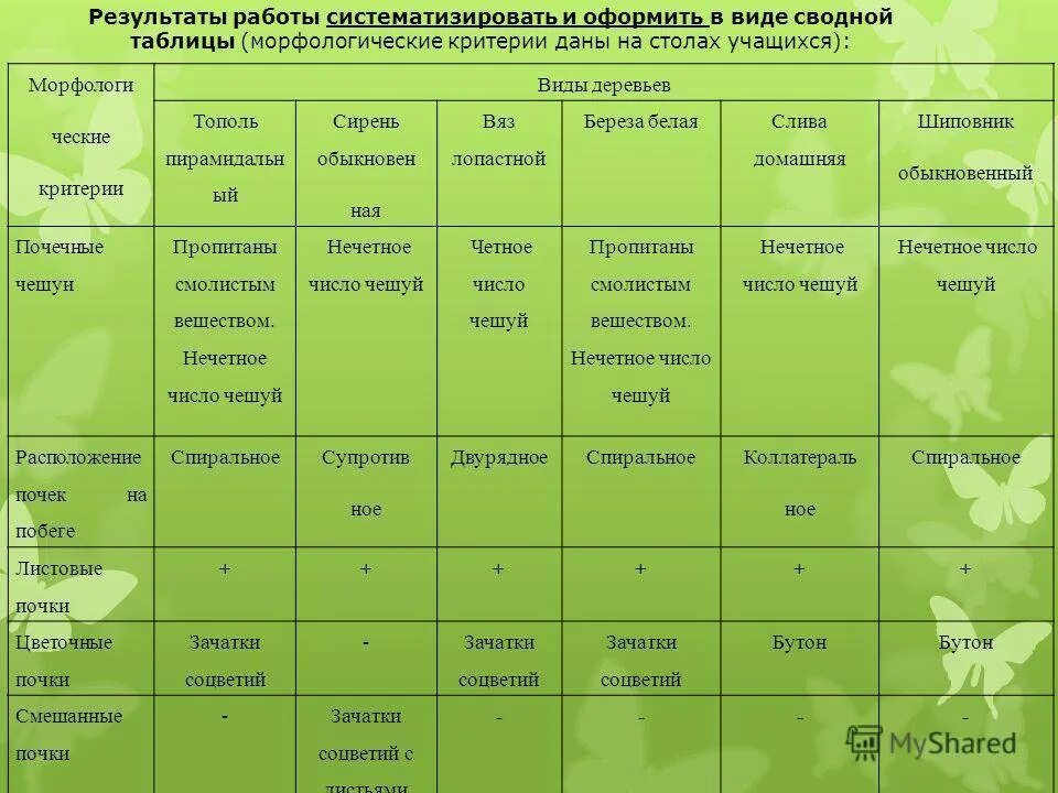 Таблица по биологии растительные сообщества. Типы растений таблица. Характеристика растений. Виды растений таблица. Морфологическая характеристика растений.