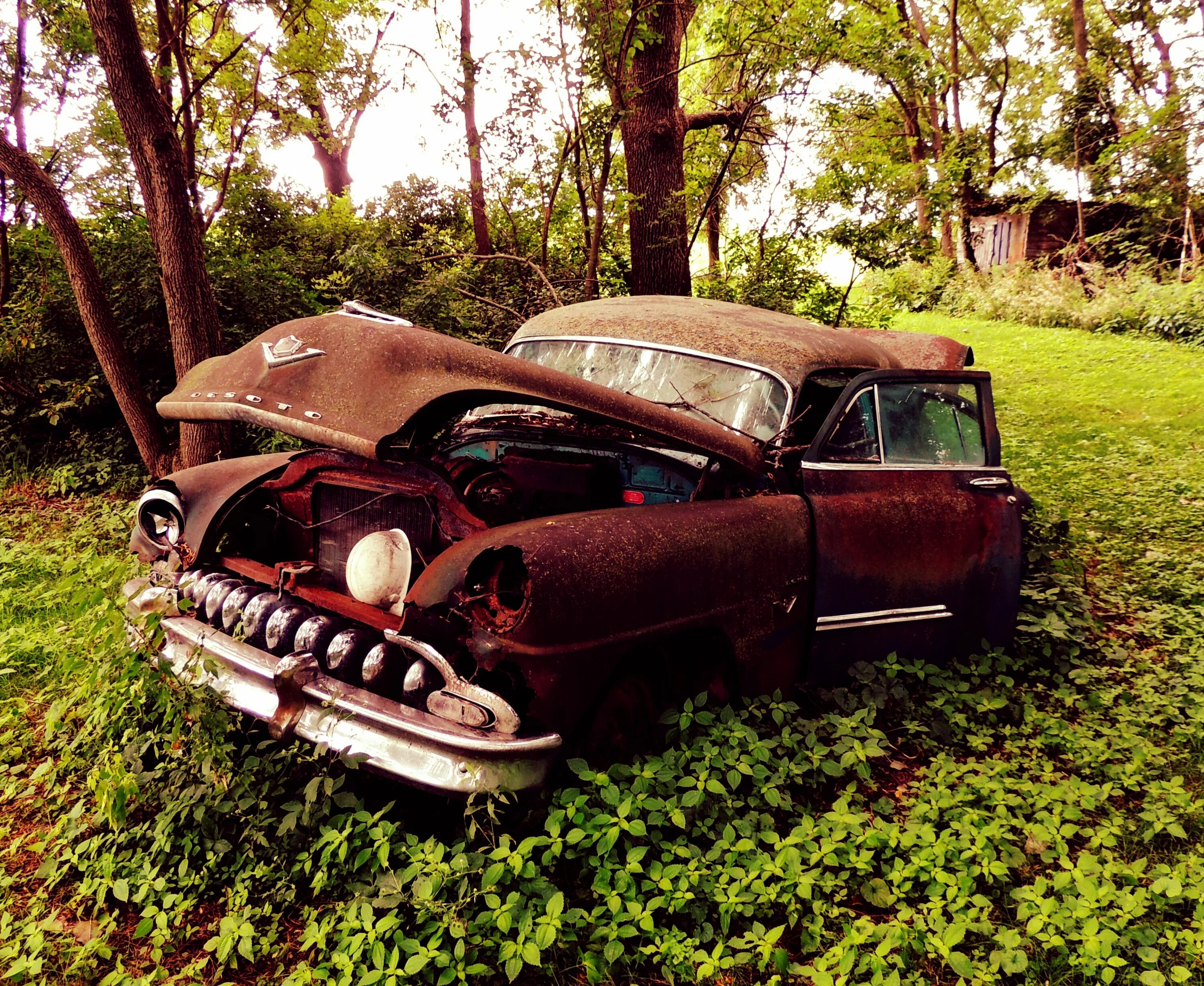 Музей под открытым небом авто черноусово. Собирать старые машины. Кладбище автомобилей джорджия. Собирать старые машины. Самая старая машина.