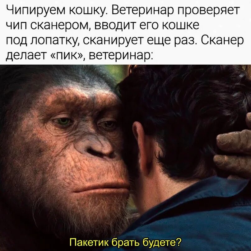 Любовь и голуби. Место для цитаты. Ой не говори не говори добро. Ой не говори не говори добро. Ну да.