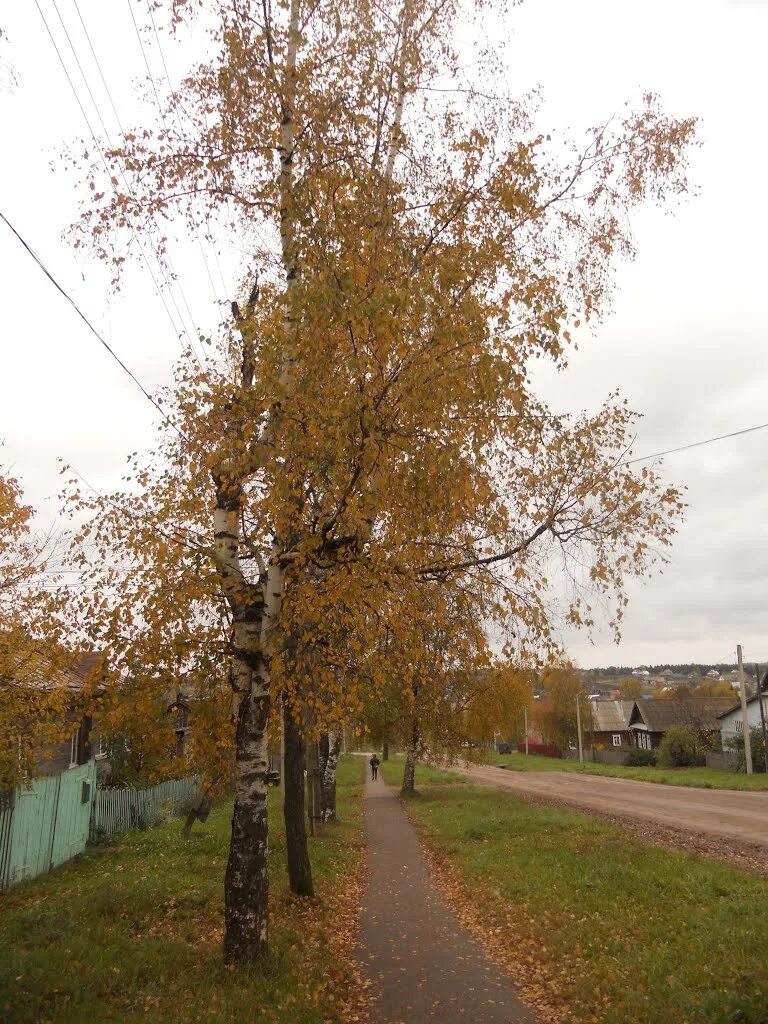 Село Красногорское Удмуртия. Город Красногор, фото.. Старые фото с.Красногорское Удмуртия. Красногорское Удмуртия площадь фото.