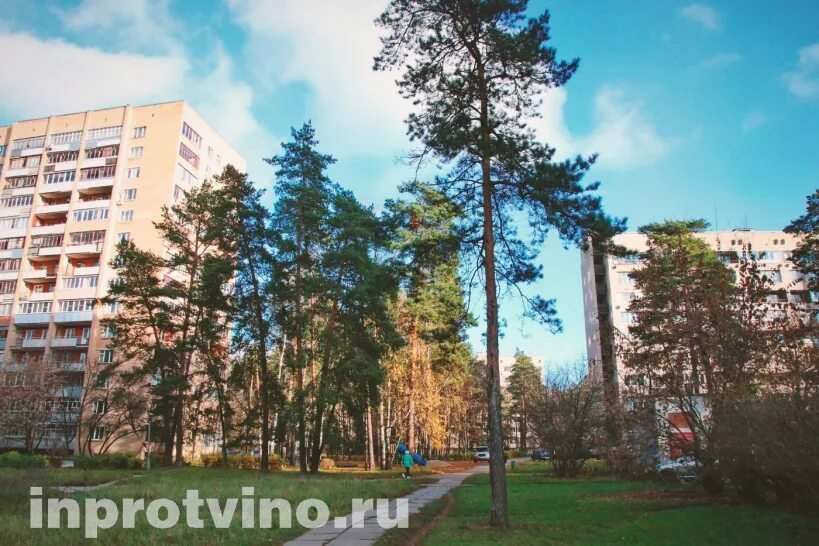 Волонтеры протвино. Пожар в протвино 25. Погода протвино на день. Дериенко эдуард протвино. Город протвино московской области.