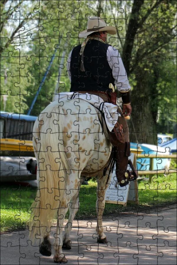 Вестерн лошади. Cowboy horse. Ковбой. Ранчо идальго. Ковбой на лошади.