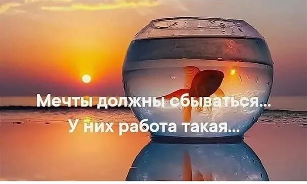 Прикольные фразы про мечту. Мечты должны сбываться. Мечты должны сбываться слова. Все мечты должны сбываться. Мечты должнысбыватся.