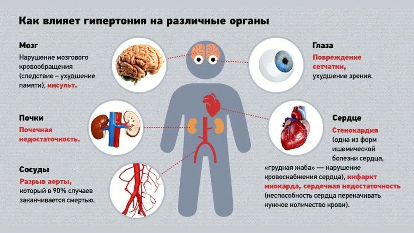 Поражение органов мишеней при артериальной гипертензии. Гипертоническая болезнь органы мишени. Как влияет гипертония на различные органы. Органы-мишени при гипертоническом кризе.