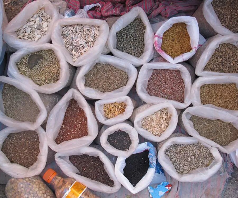 способы хранения семян. сбор фасоли. замочить семена в воде. можно ли оставить на семена. организация хранения семян.