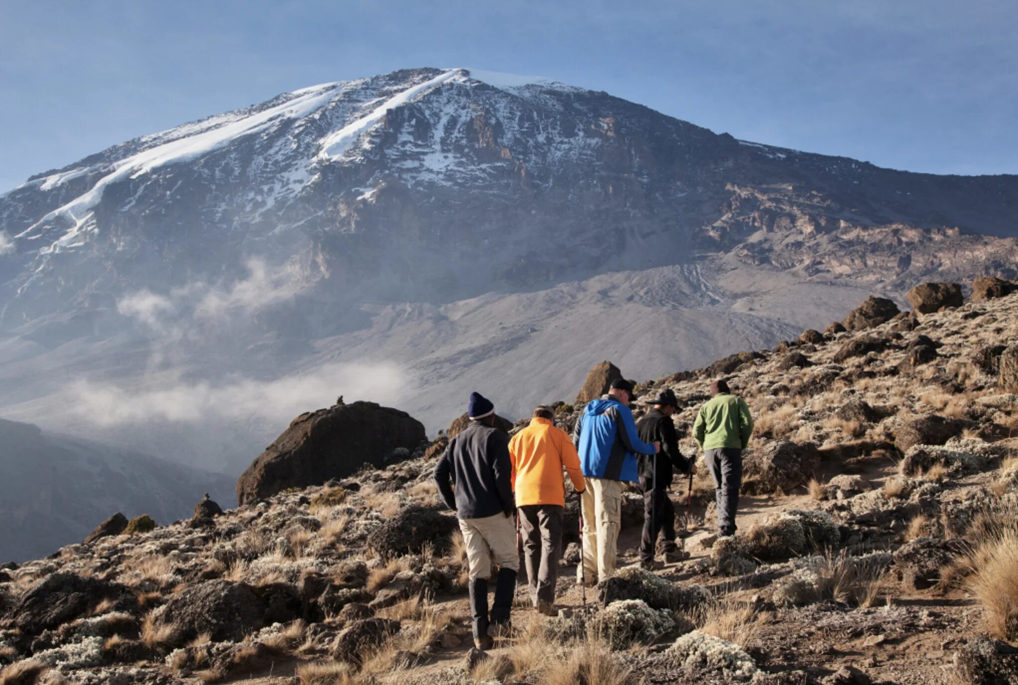 Африка самый высокий. Ронгаи Килиманджаро. Маунт Килиманджаро. Килиманджаро треккинг. Танзания Килиманджаро восхождение.