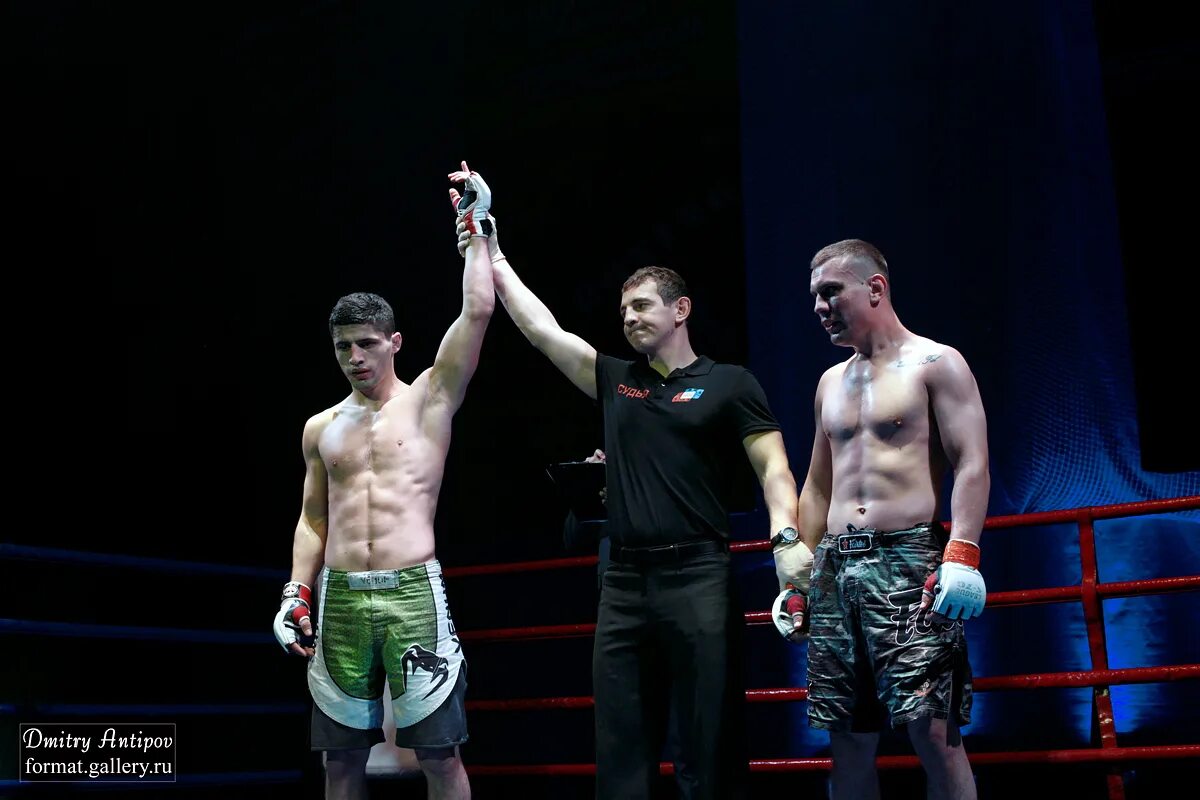 Союз мма сургут. Иван штырков магомед исмаилов. Аса ахмат. Федерация союз мма россии. Смешанные единоборства тамбов.