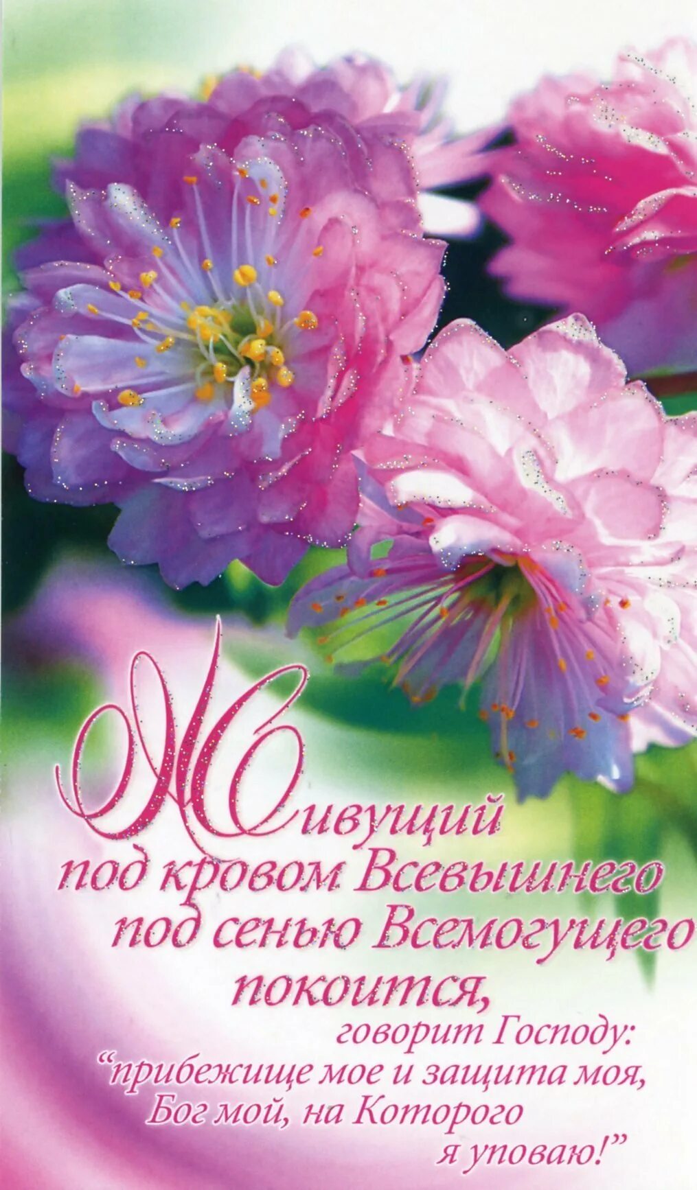 С днем рождения женщине библия. Открытки с днем рождения христианке. Христианские поздравления. С днём рождения христианские поздравления открытки. Христианские стихи на день рождения.