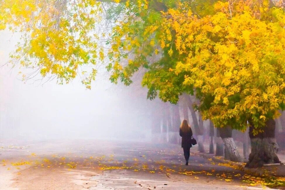 Там хорошо где нет дождя