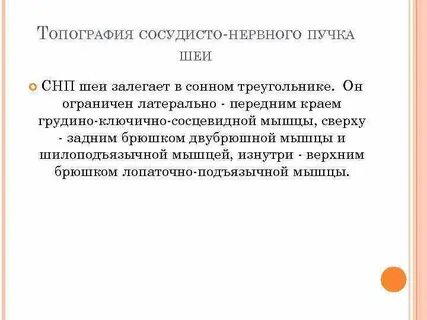 Основной сосудисто нервный пучок