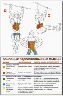 Подъем ног мышцы