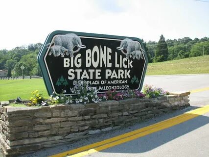 Big park