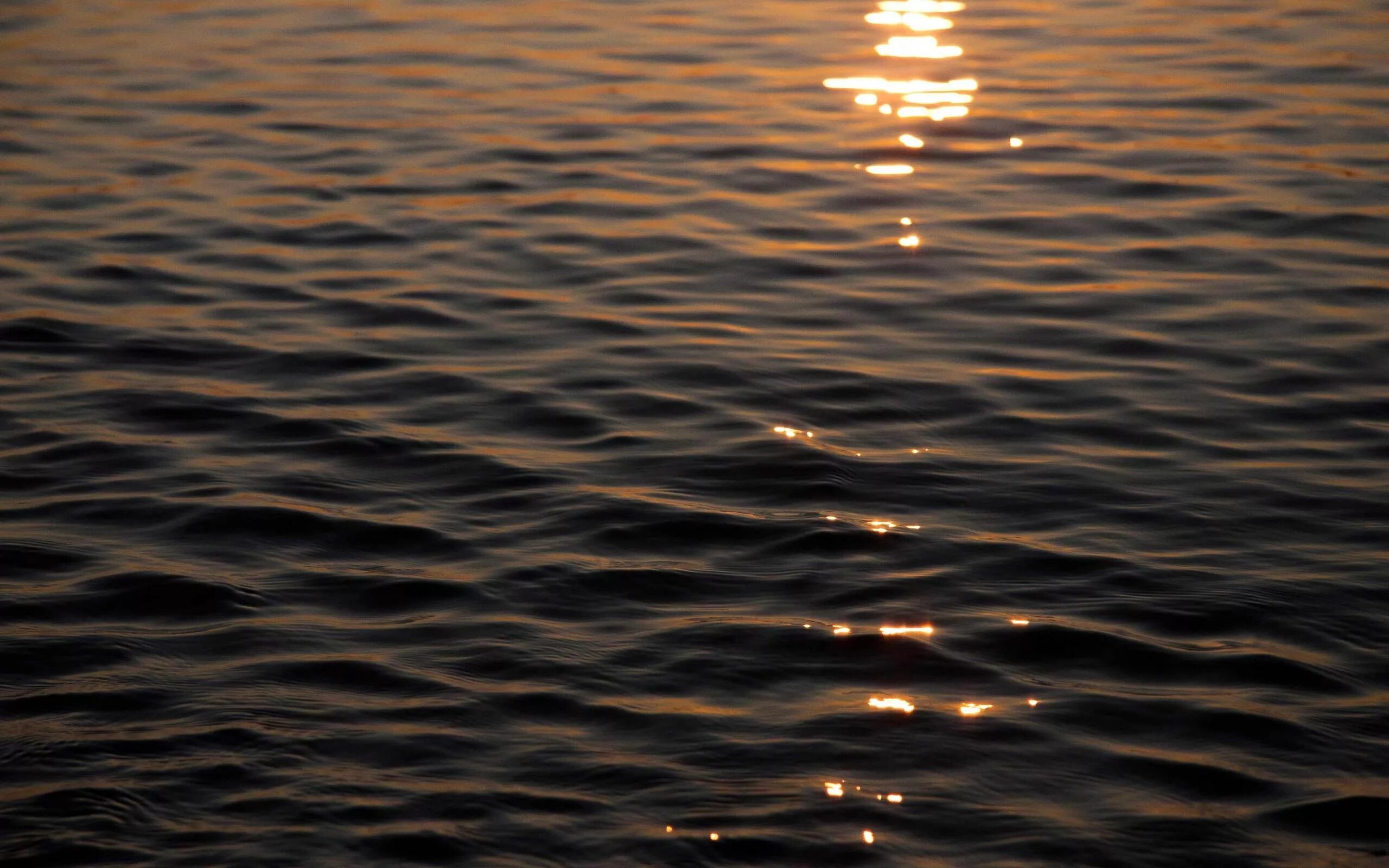 "Glare on the water" - image created in Shedevrum