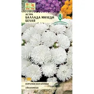 Белая баллада
