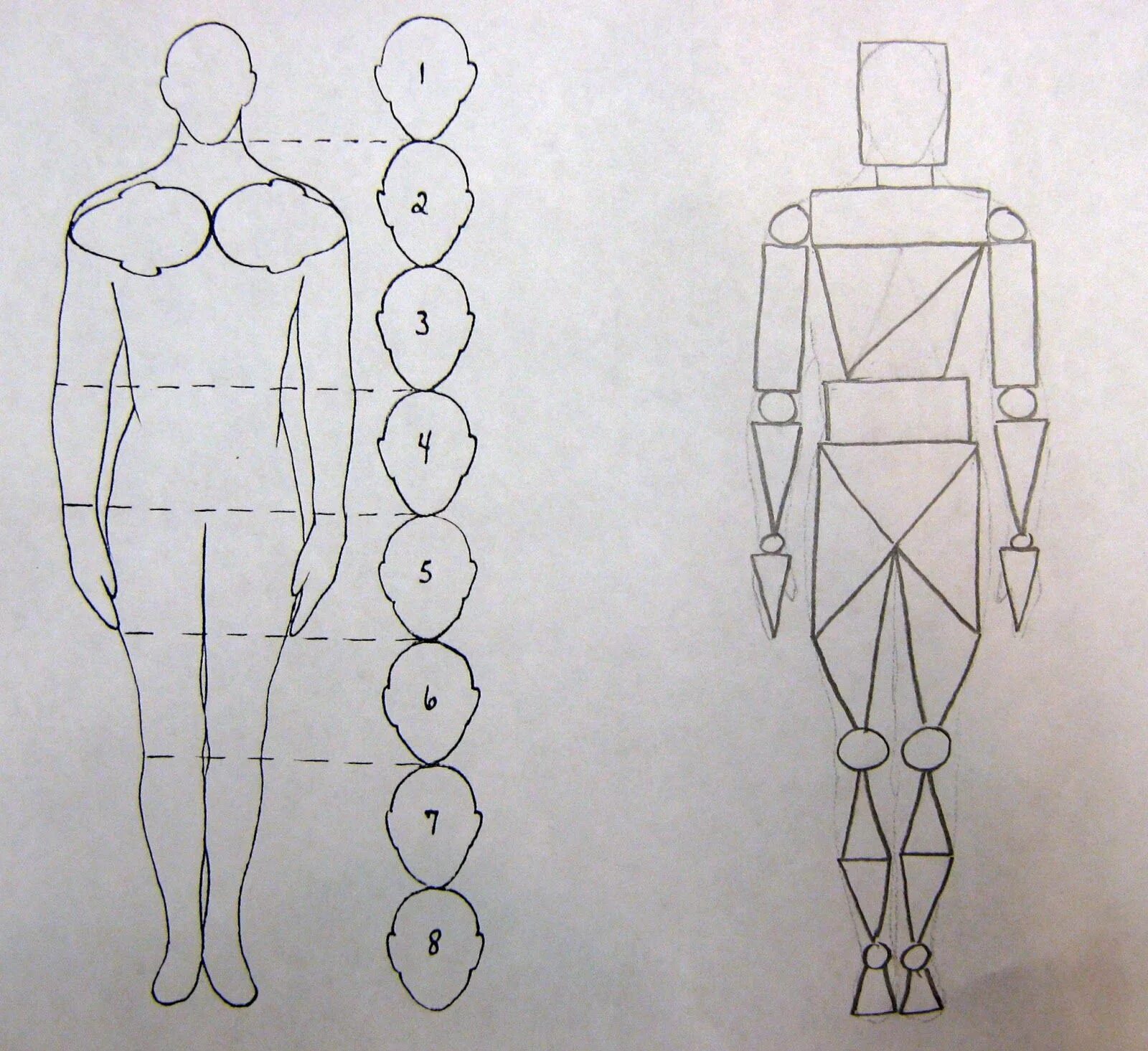 Фигура человека. Изображение фигуры человека. Пропорции человека рисунок. Рисование фигуры человека по пропорциям.