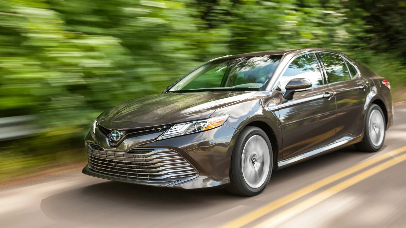 Toyota Camry XLE 2019. Toyota Camry 2018. 2018 Toyota Camry XLE. Toyota Camry XLE 2017.