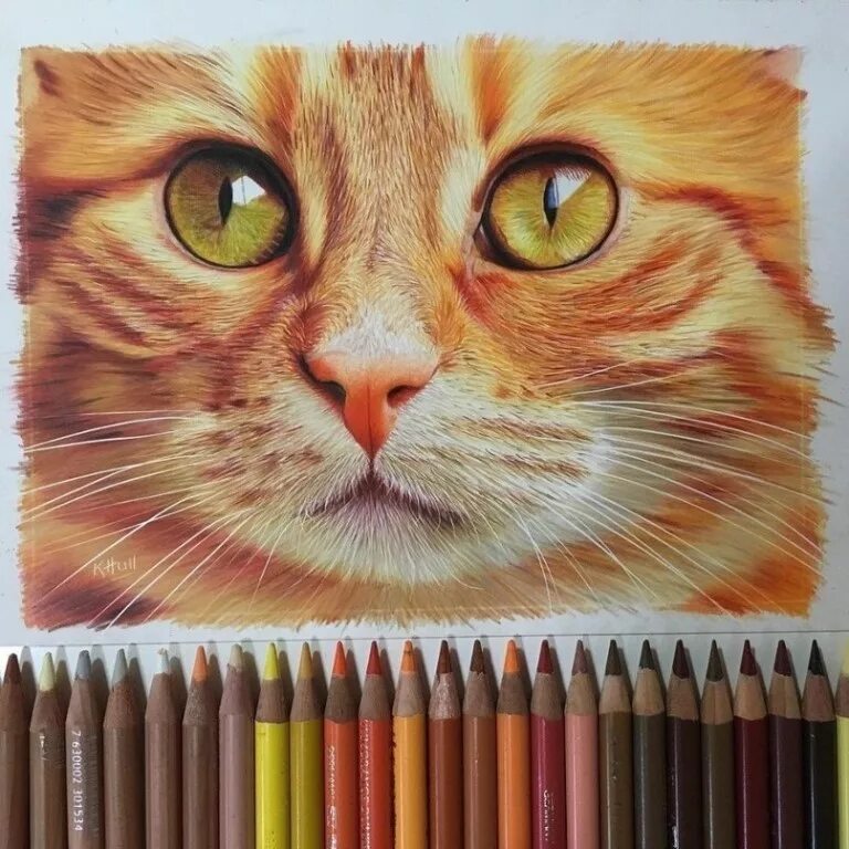 цветы акварельными карандашами. рисунки цветными карандашами. рисование цветными карандашами. акварельные карандаши schreiber. цветы цветными карандашами.