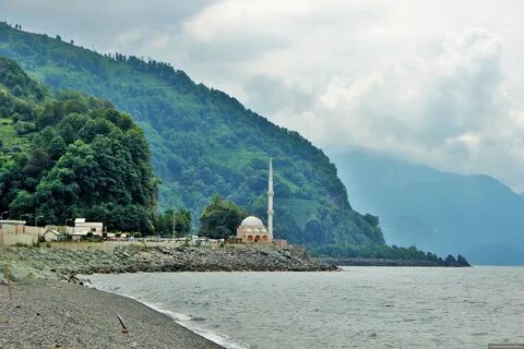 Гонио аджария