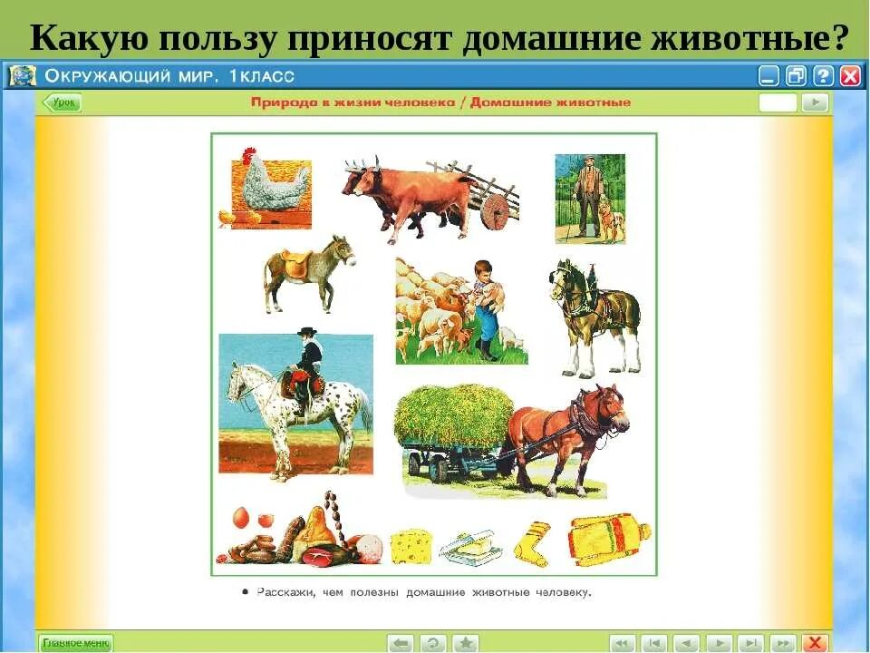 И какую пользу они приносят